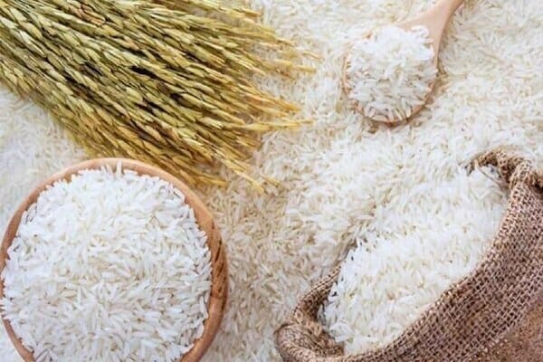 تصویر 4 از فروش برنج ایرانی شمال + قیمت خرید به صرفه